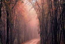 八一队士气高涨挑战领先对手