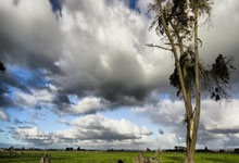 申花后卫连续出色，帮助球队保持不败