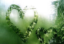 足球盛宴上演，球场风云变幻