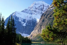 追寻篮球梦想的旅程中，每一场比赛都是挑战