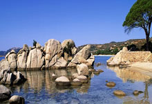 AC米兰新引援表现出色，值回票价